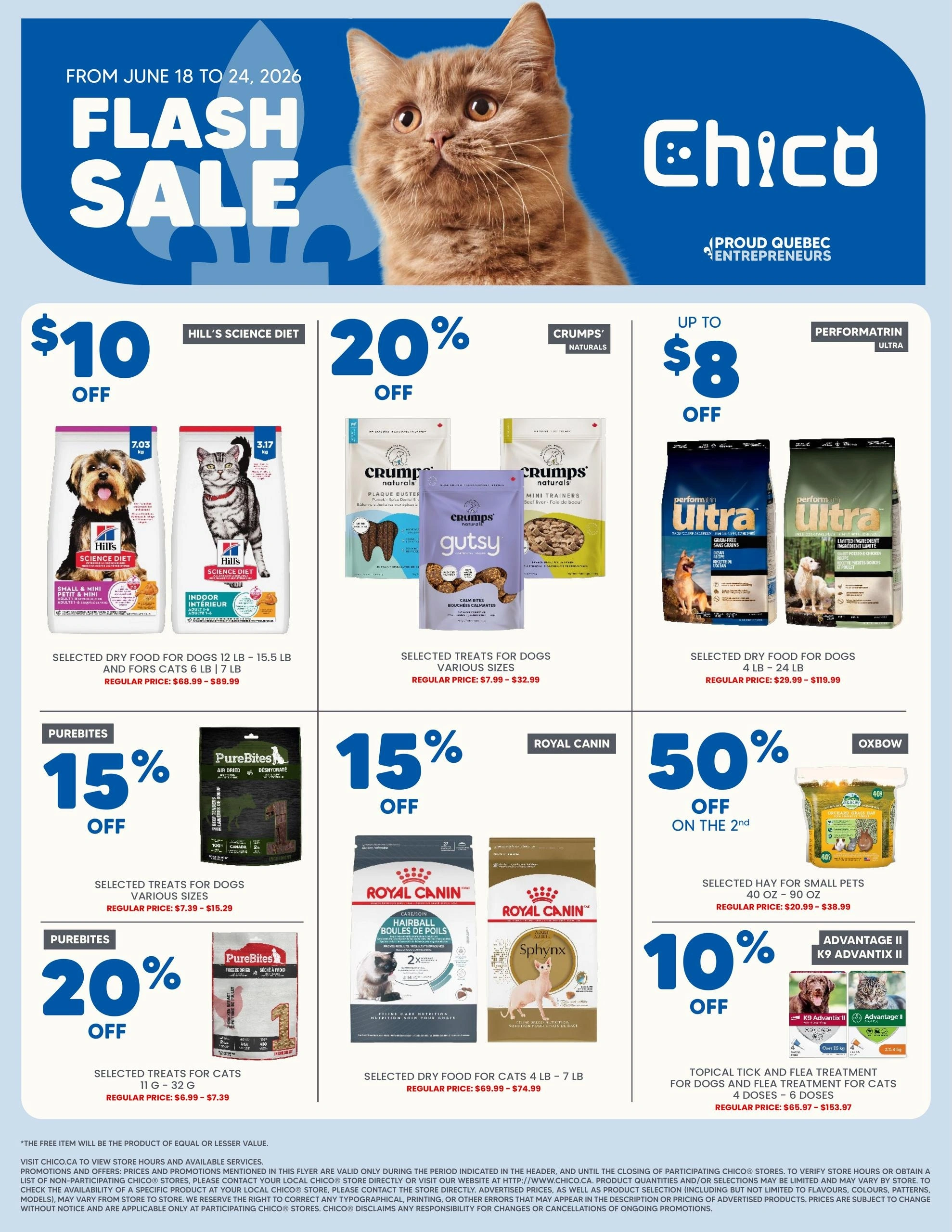 Chico flyer page 1