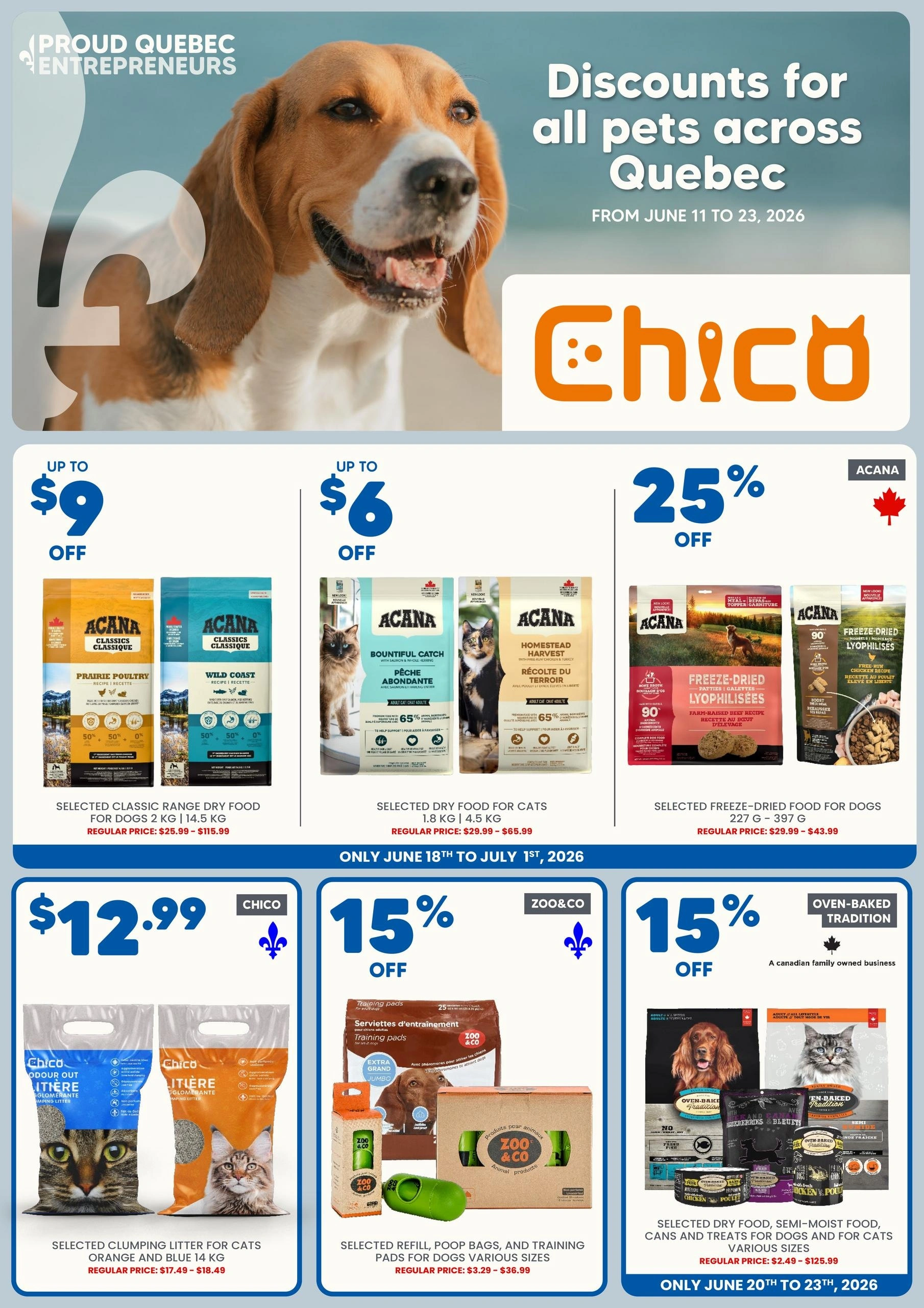 Chico flyer page 1