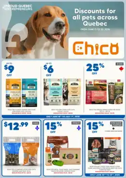 Chico Flyer