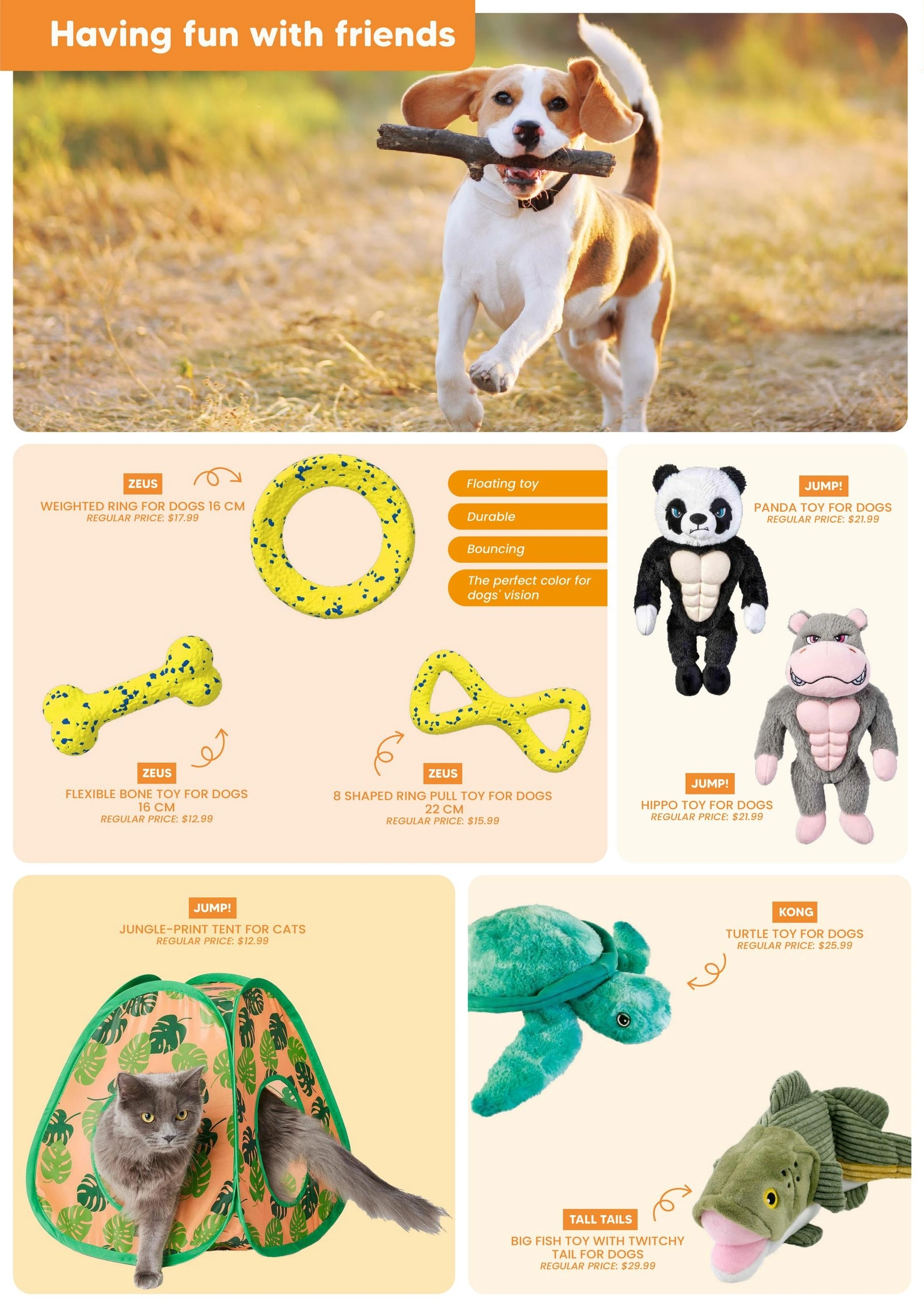 Chico flyer page 7