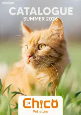 Chico Summer Catalogue