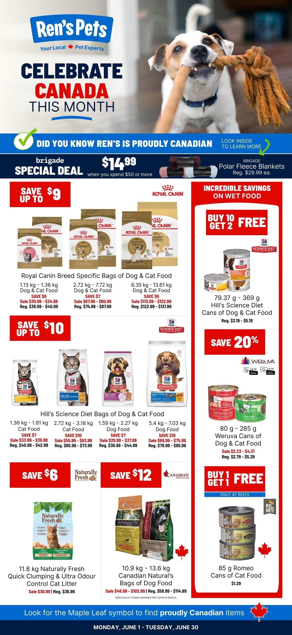 Ren's Pets flyer page 1