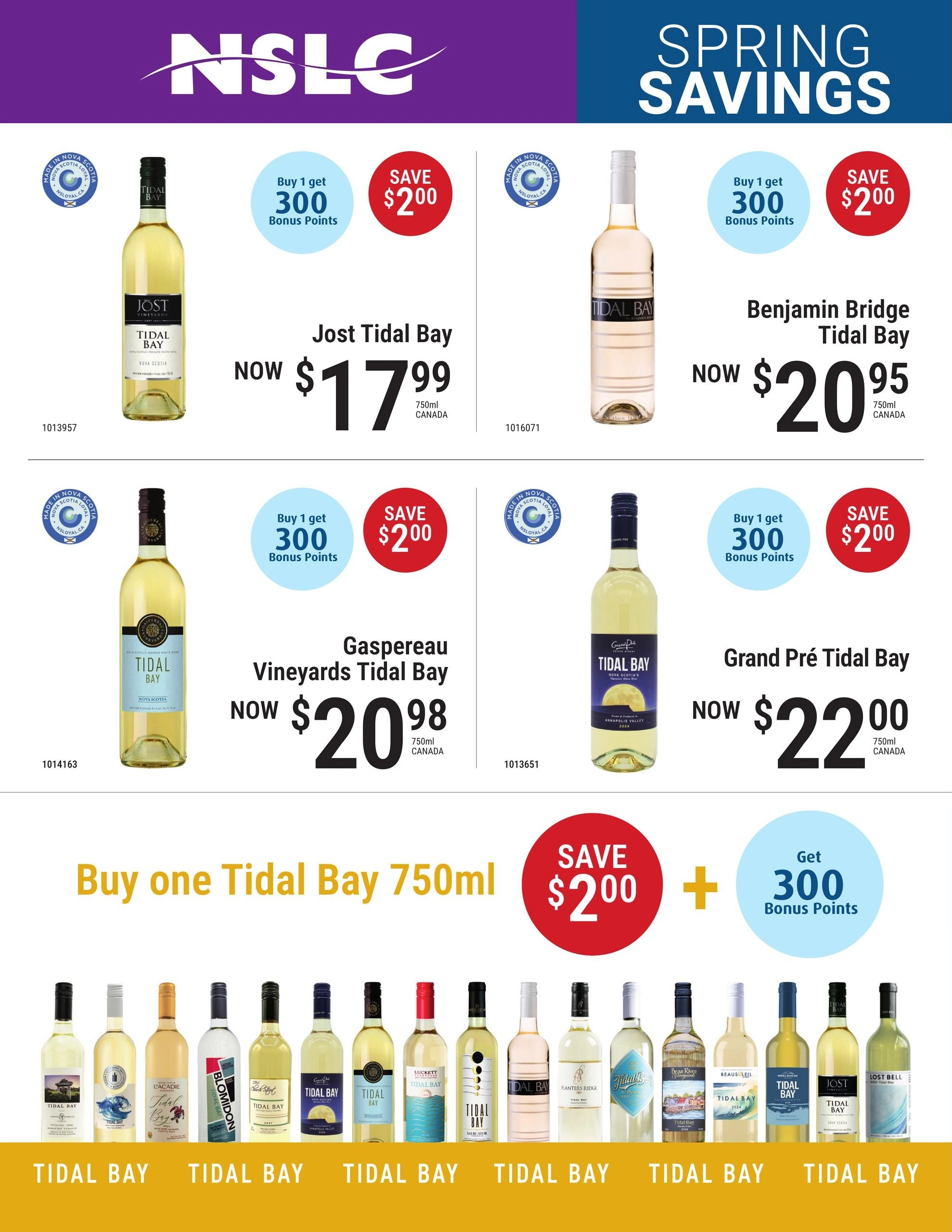NSLC flyer page 1
