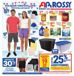 Rossy Web Flyer