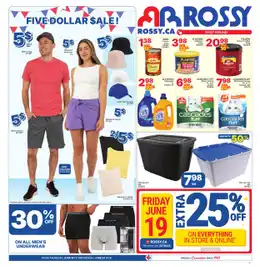 Rossy Web Flyer
