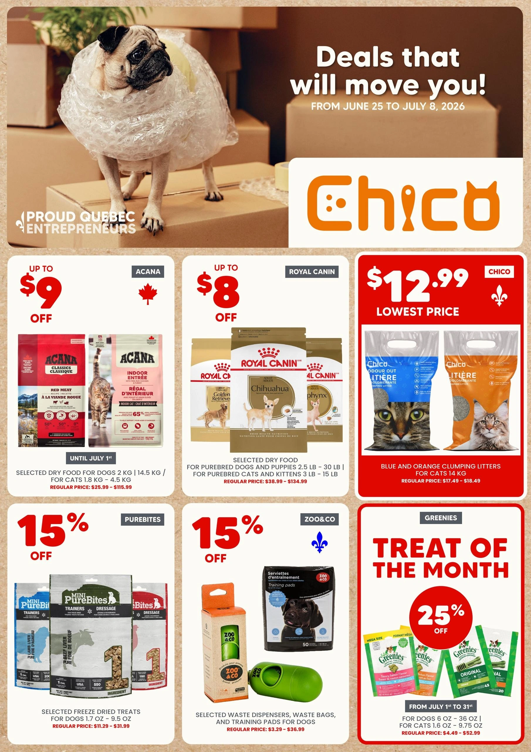 Chico flyer page 1