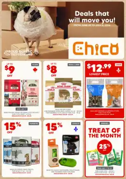 Chico Flyer
