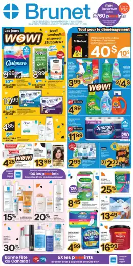 Brunet Flyer