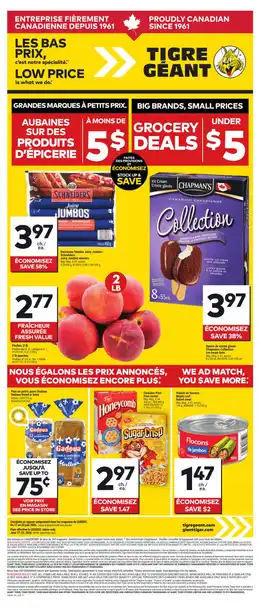 Giant Tiger Weekly Flyer