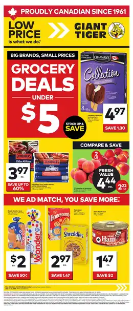 Giant Tiger Weekly Flyer