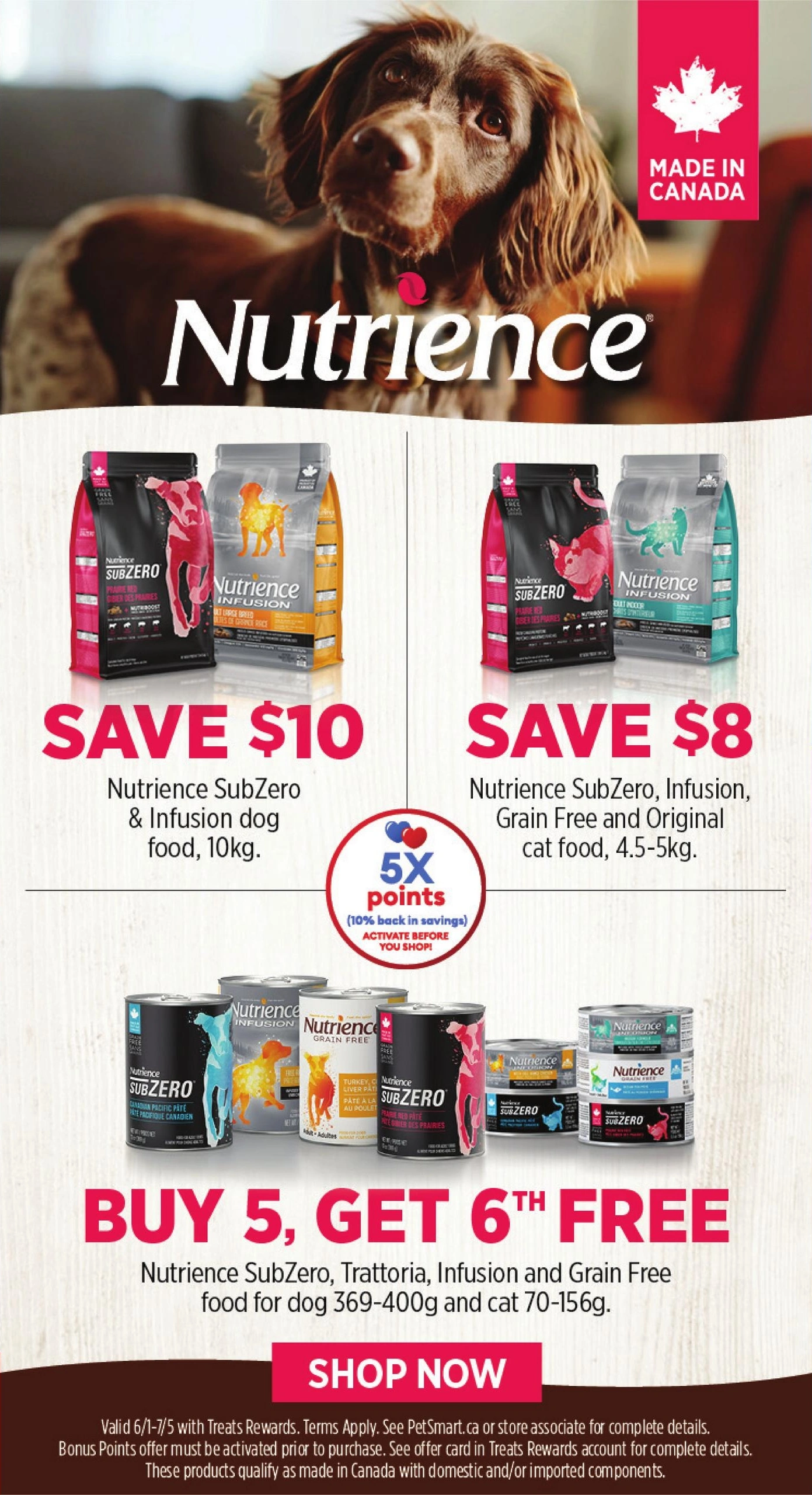 PetSmart flyer page 6