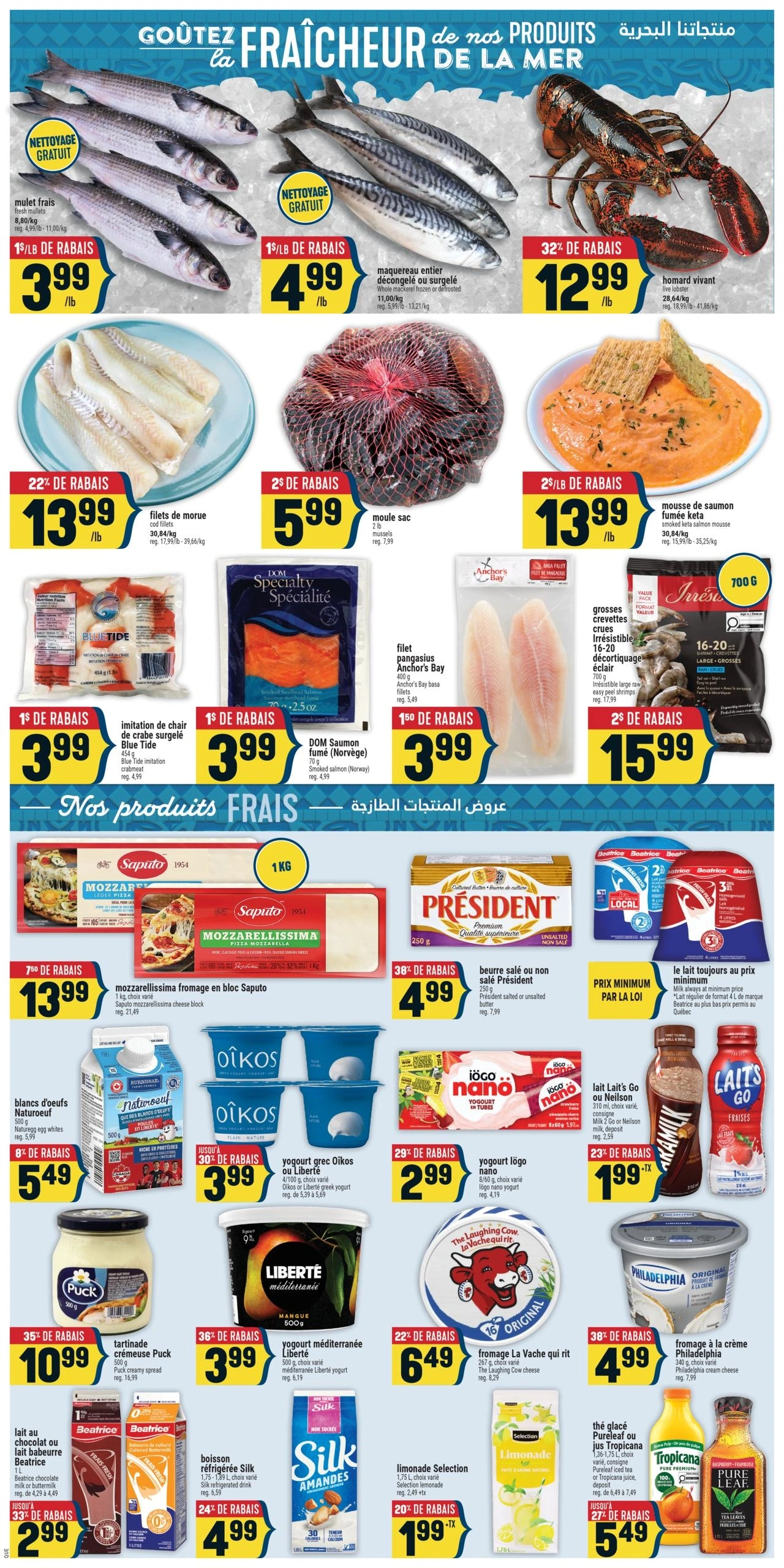 Adonis flyer page 5