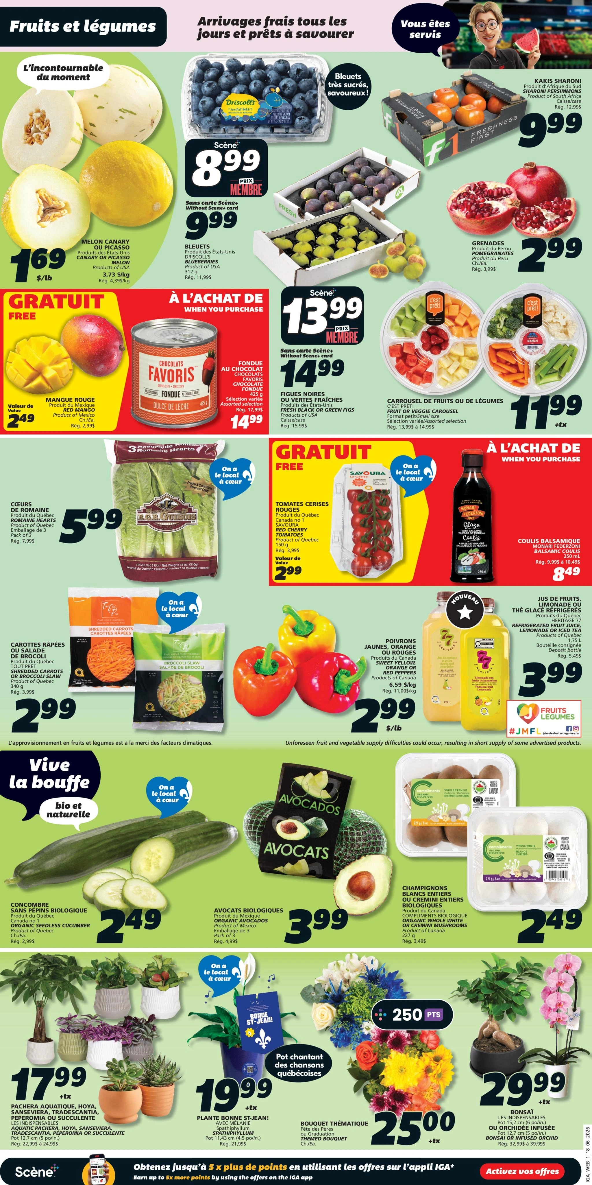 IGA flyer page 5