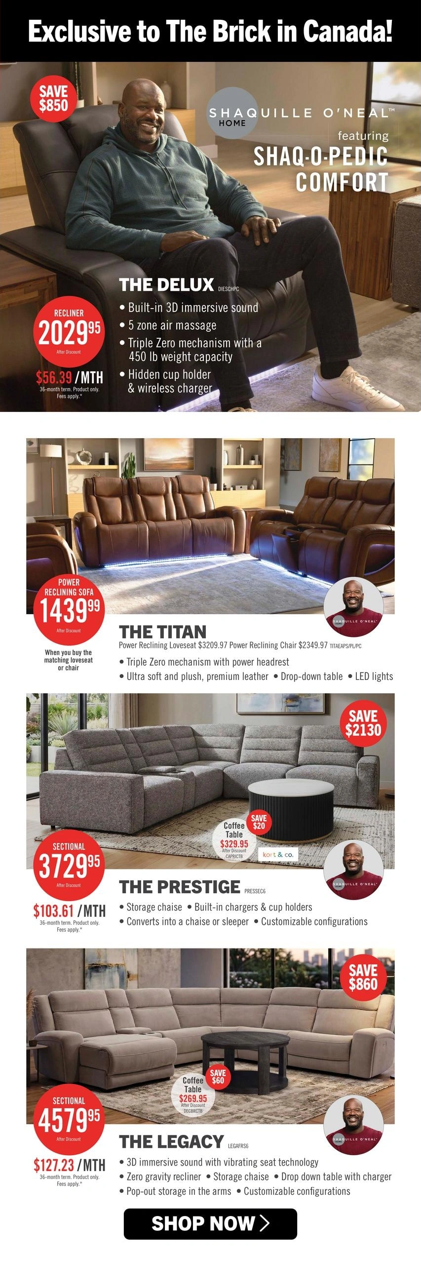 The Brick flyer page 5