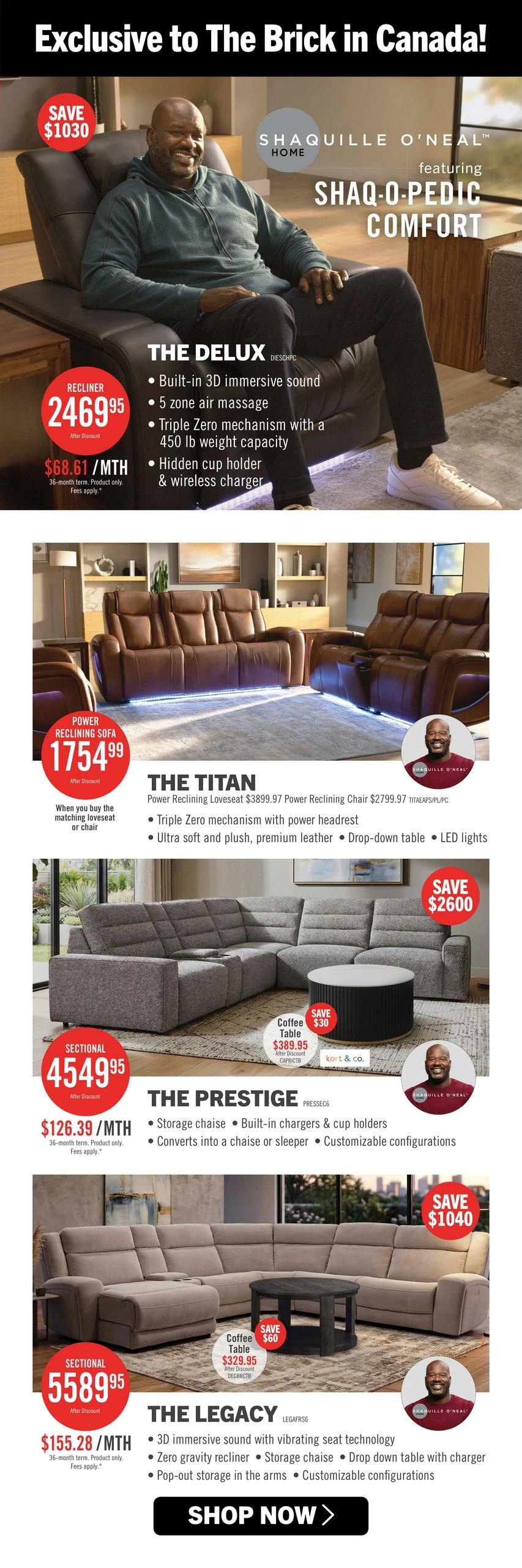 The Brick flyer page 5