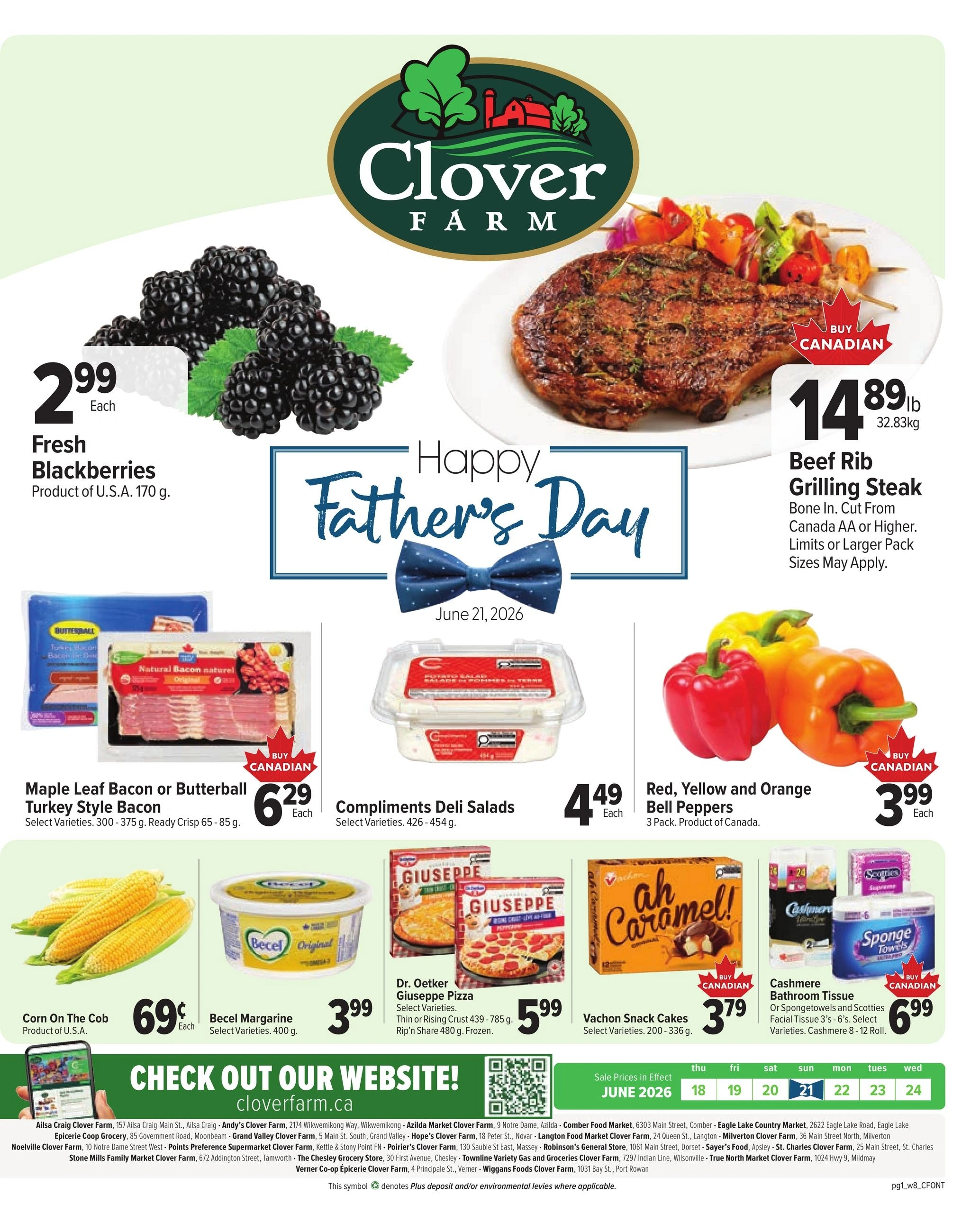 Chesley Grocery Store flyer page 1