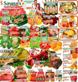5 Saveurs Indexed