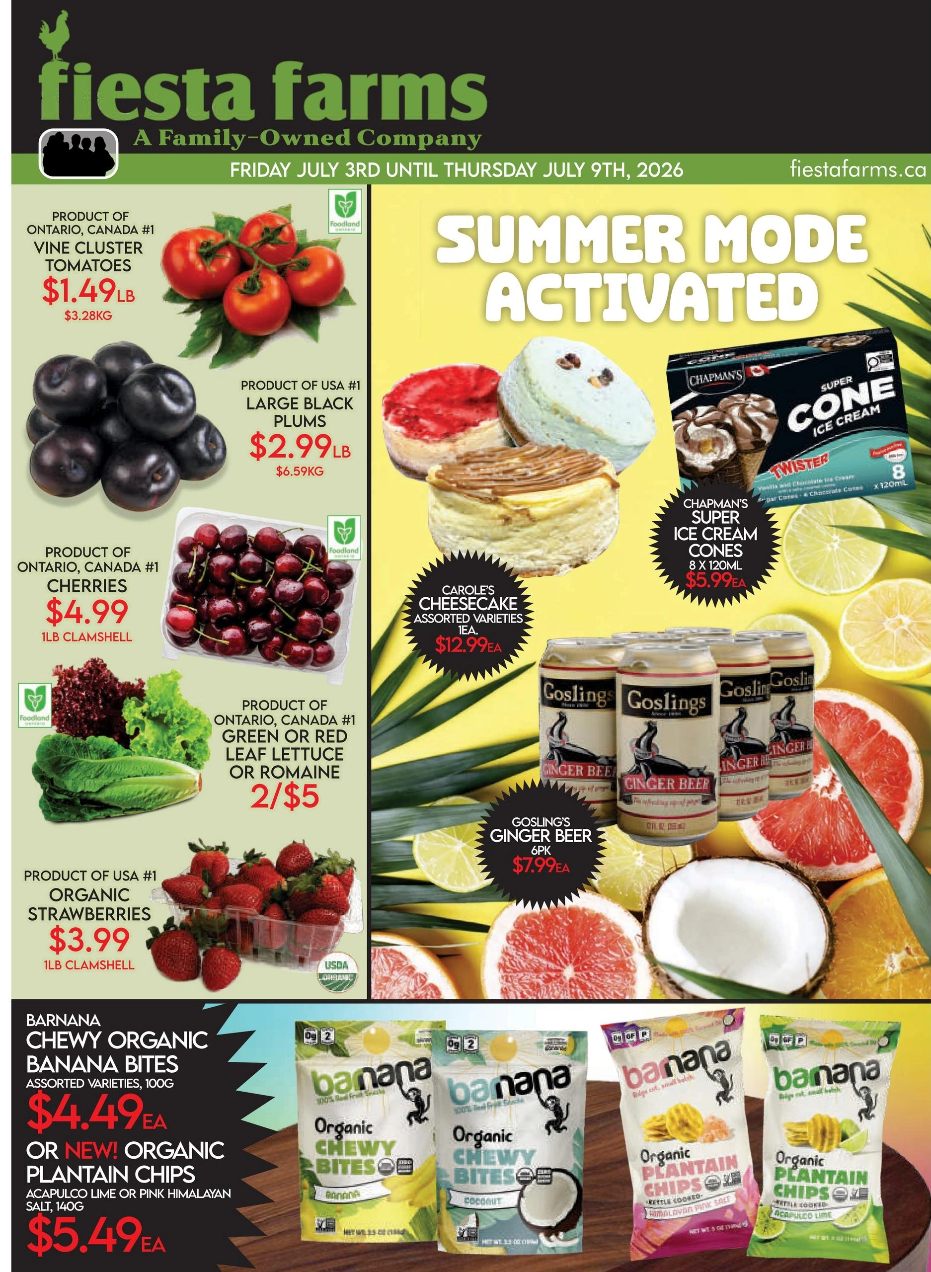 Fiesta Farms flyer page 1