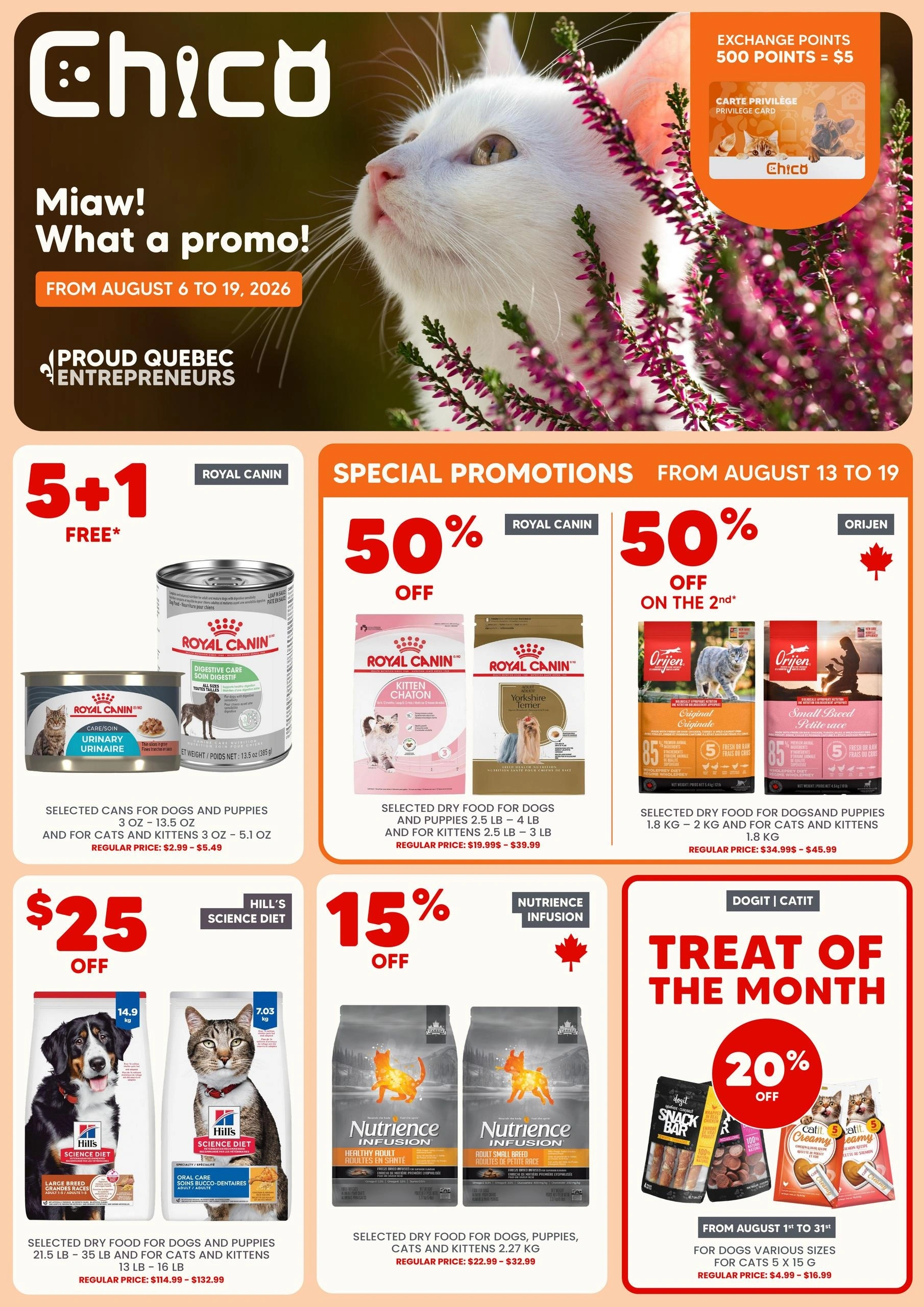 Chico flyer page 1