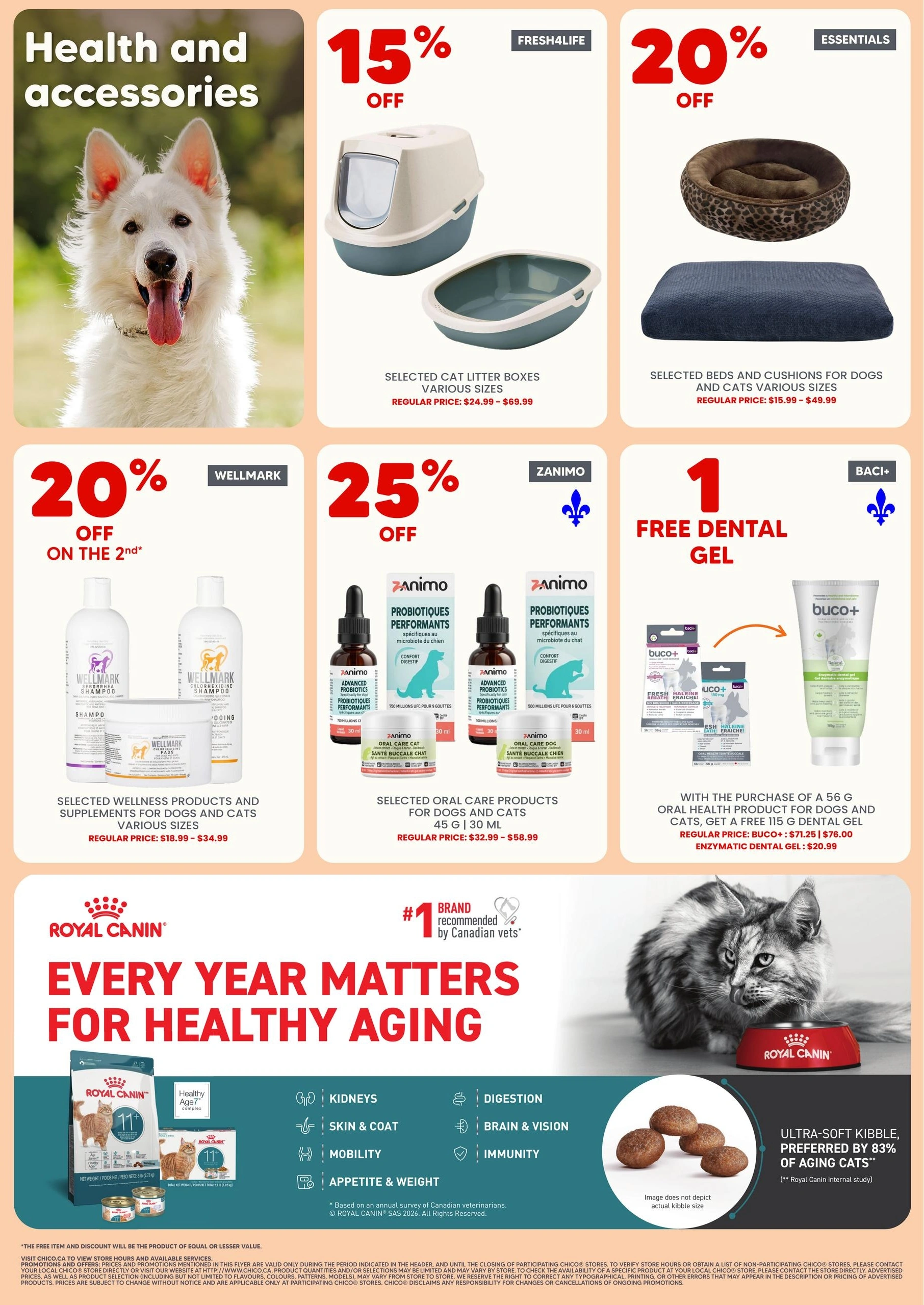 Chico flyer page 3