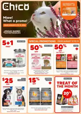 Chico Flyer