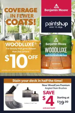 The Paint Shop Monthly