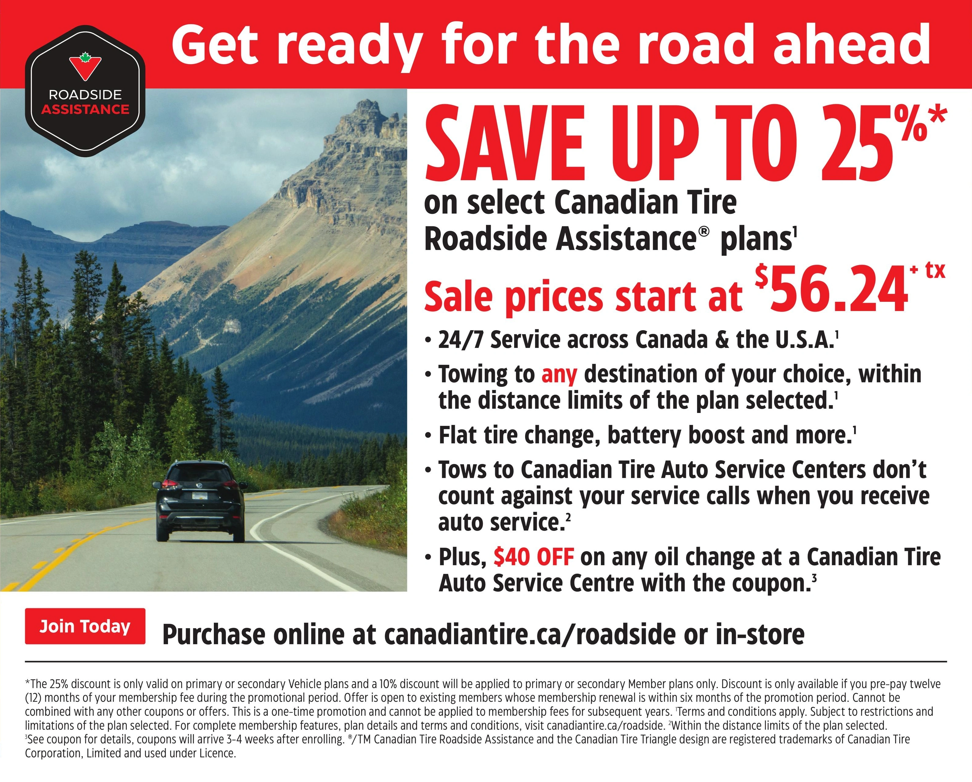 Canadian Tire flyer page 9
