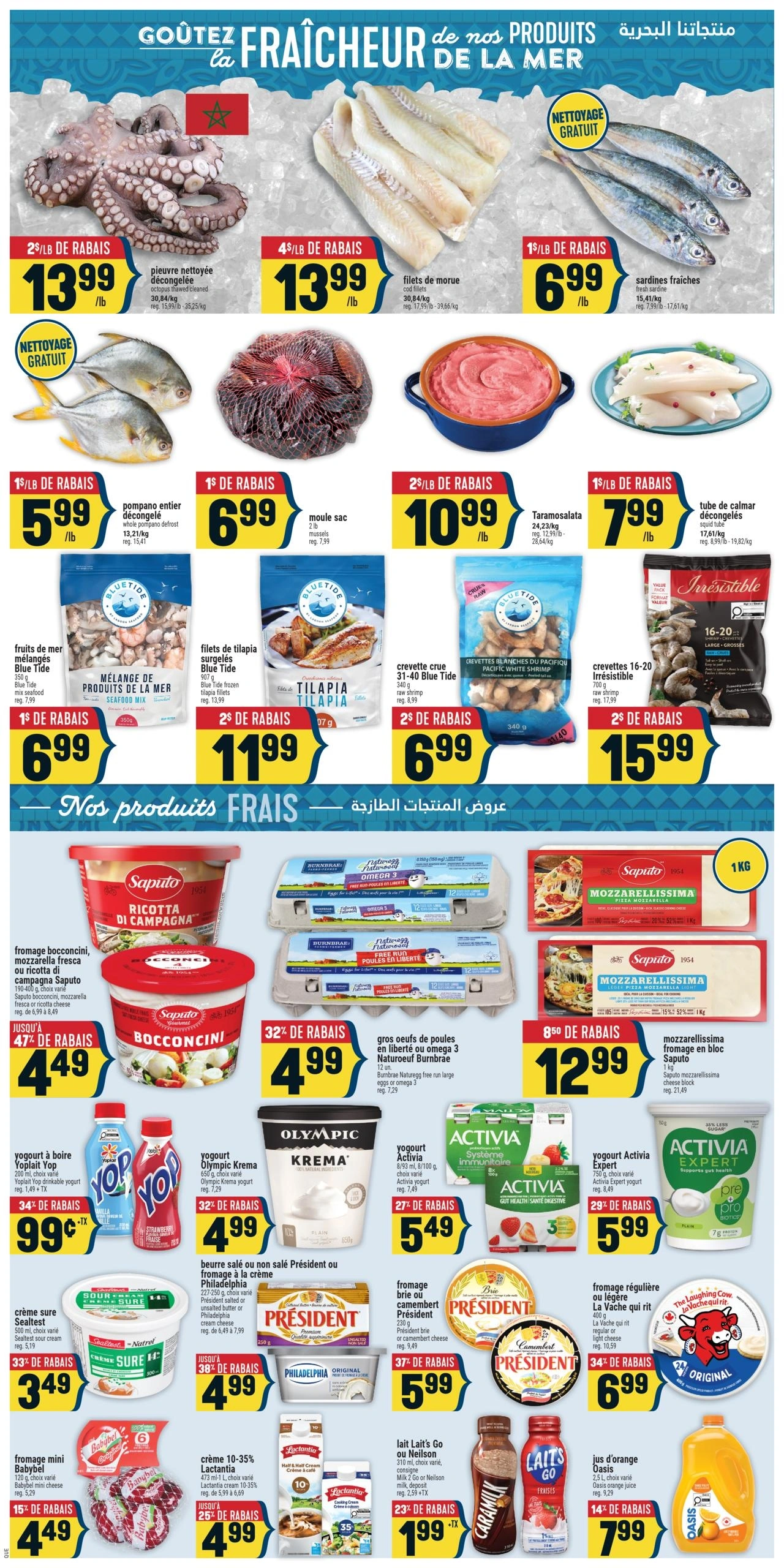 Adonis flyer page 5