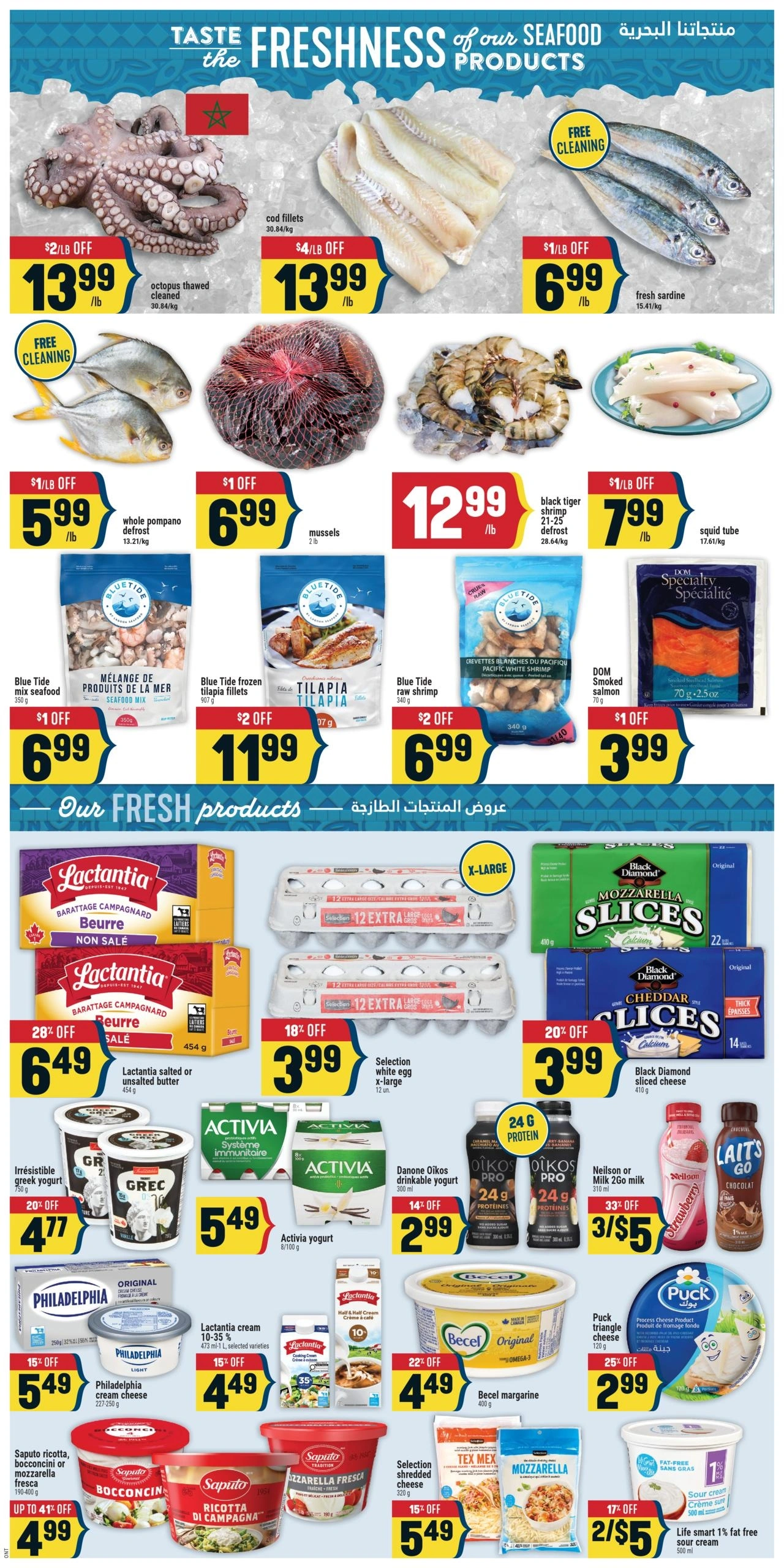 Adonis flyer page 4