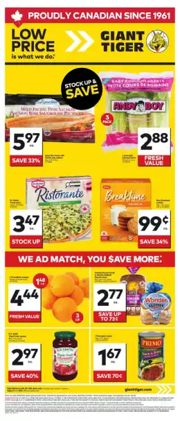 Giant Tiger Weekly Flyer
