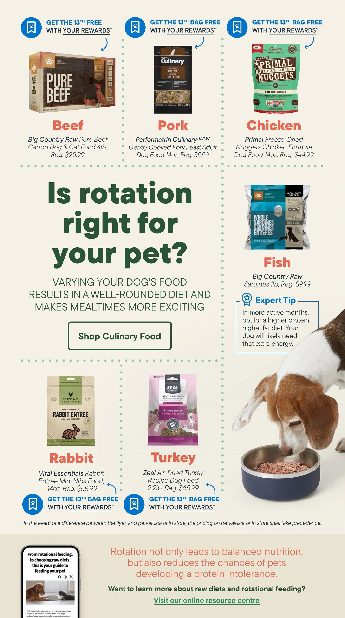 Paulmac's Pets flyer page 9