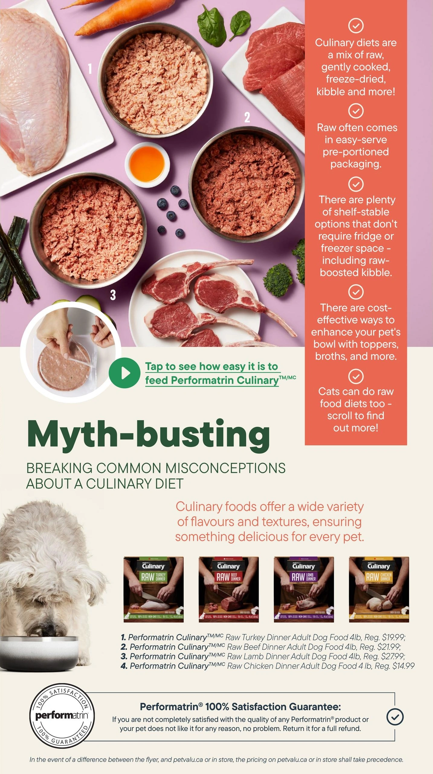 Total Pet flyer page 10
