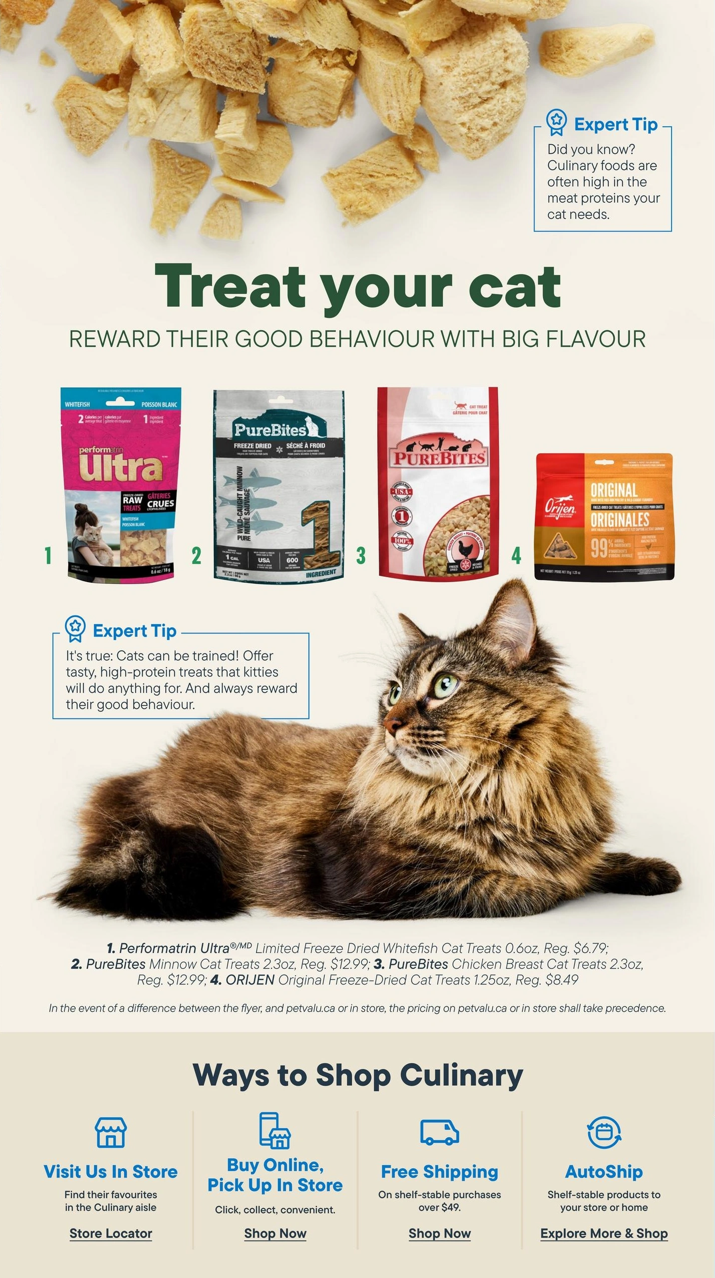 Total Pet flyer page 13