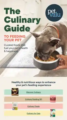 Total Pet Lookbooks