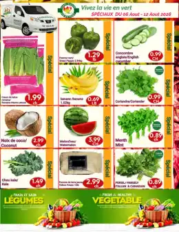 Vie En Vert Flyer
