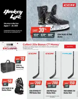 Pro Hockey Life Flyer