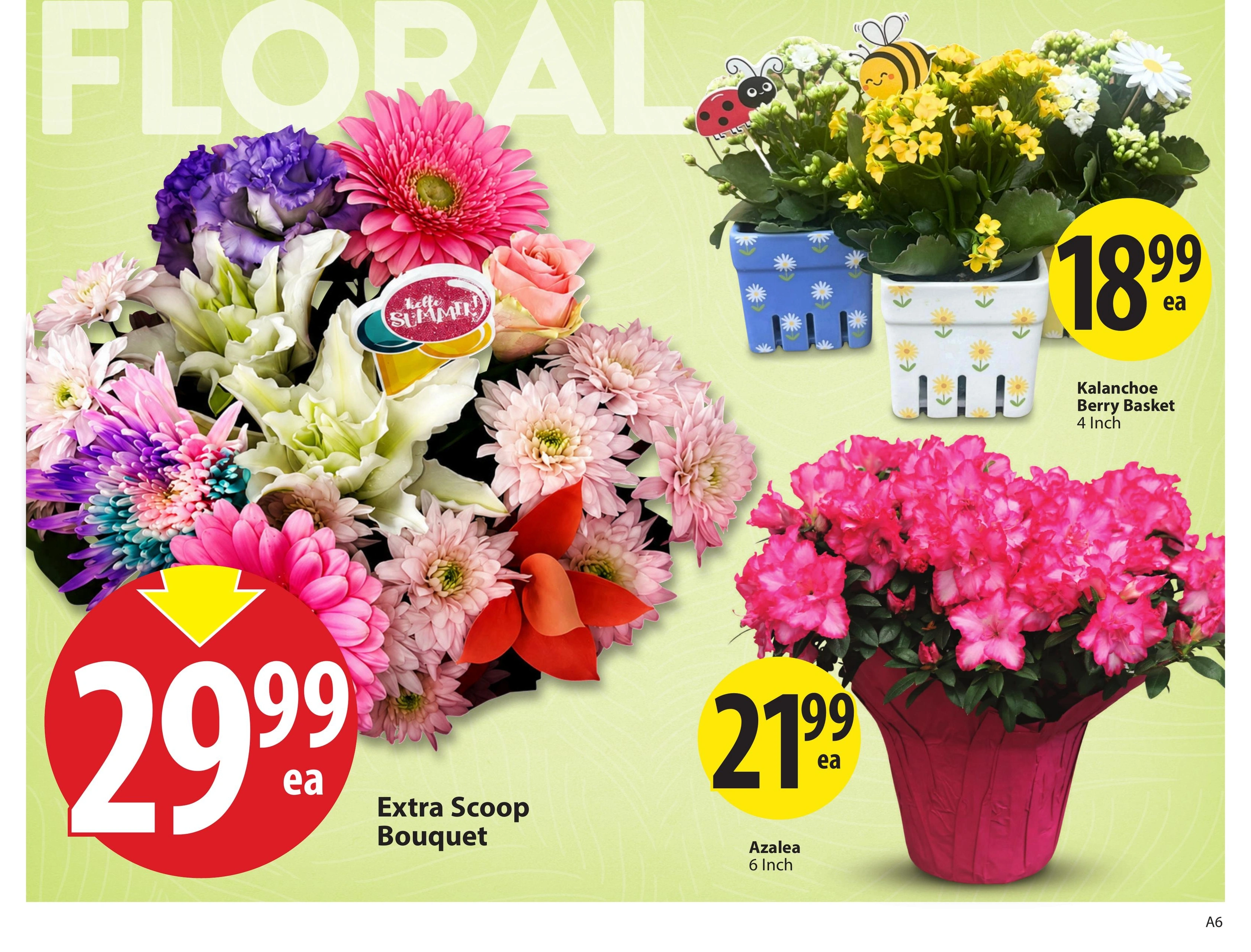 Save-On-Foods flyer page 5