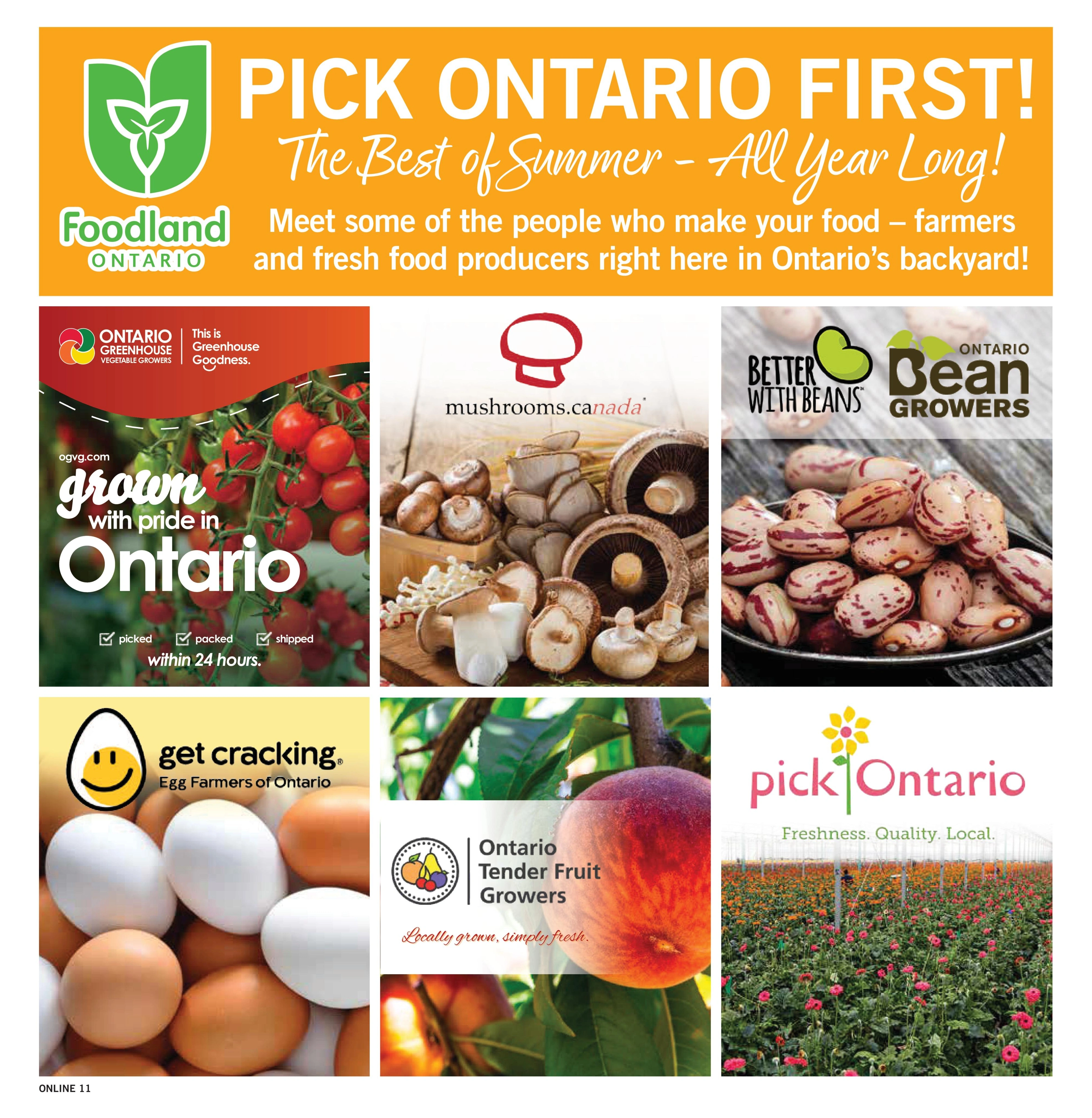 Fortinos flyer page 11