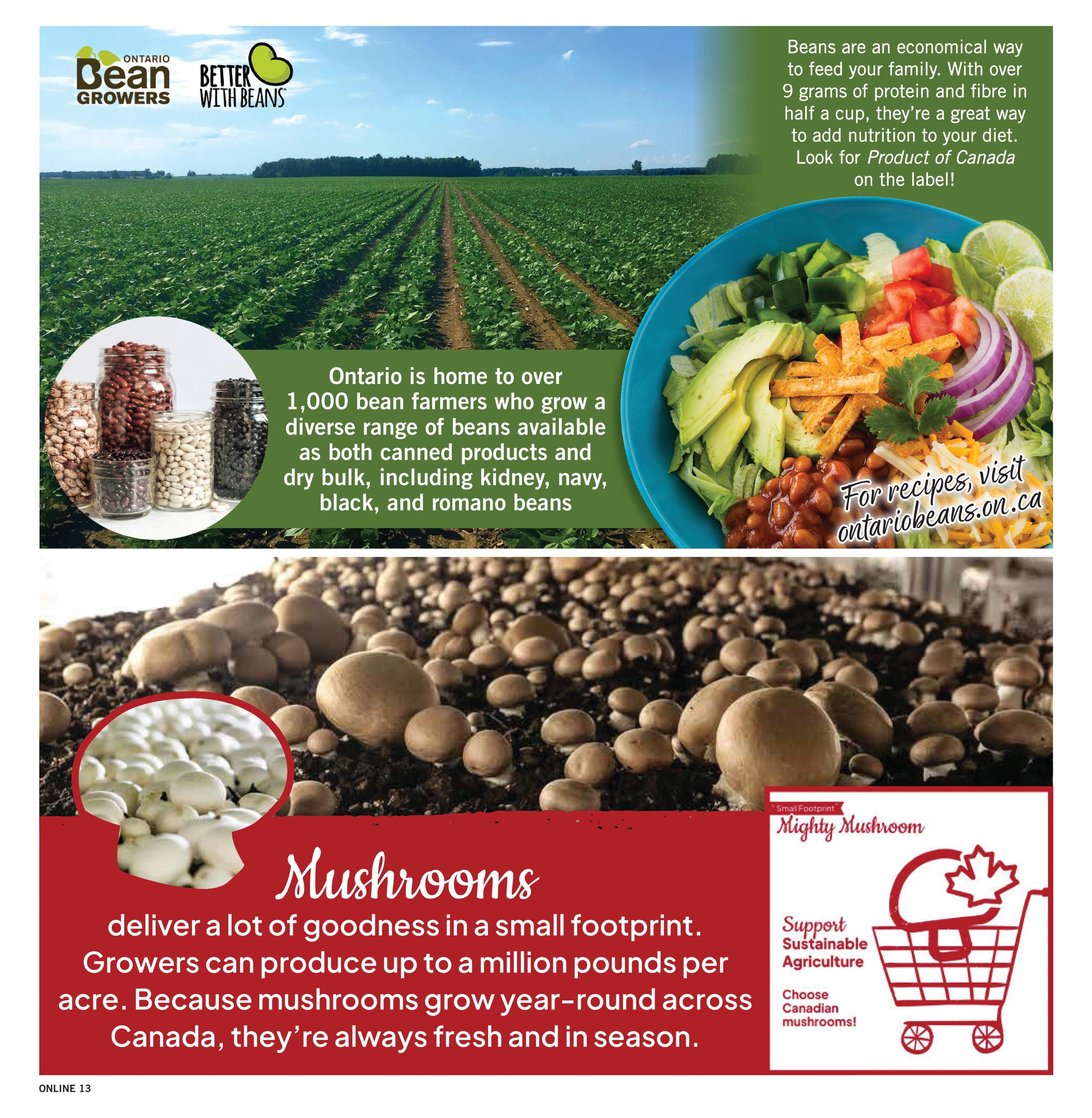 Fortinos flyer page 13