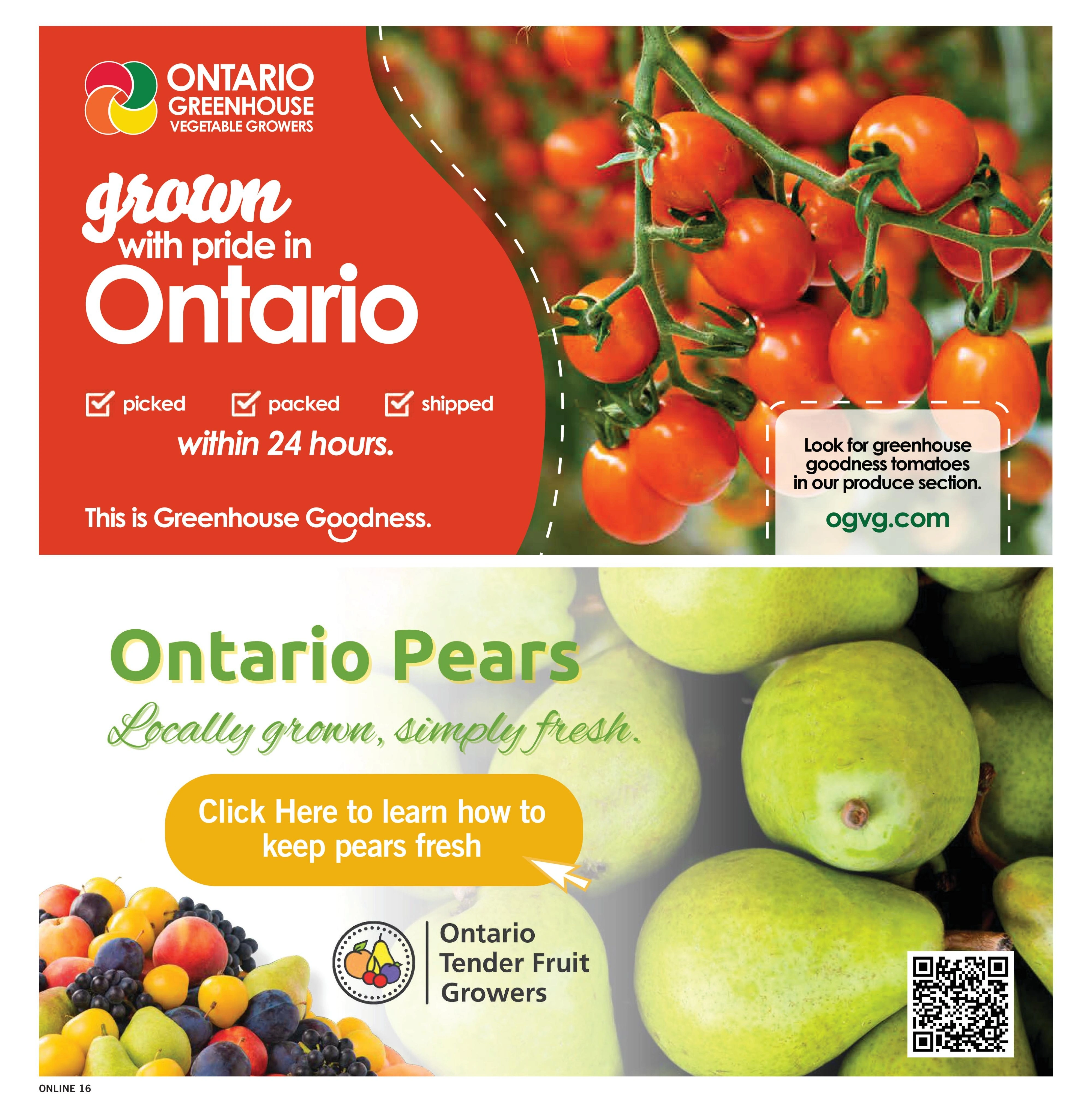 Fortinos flyer page 16