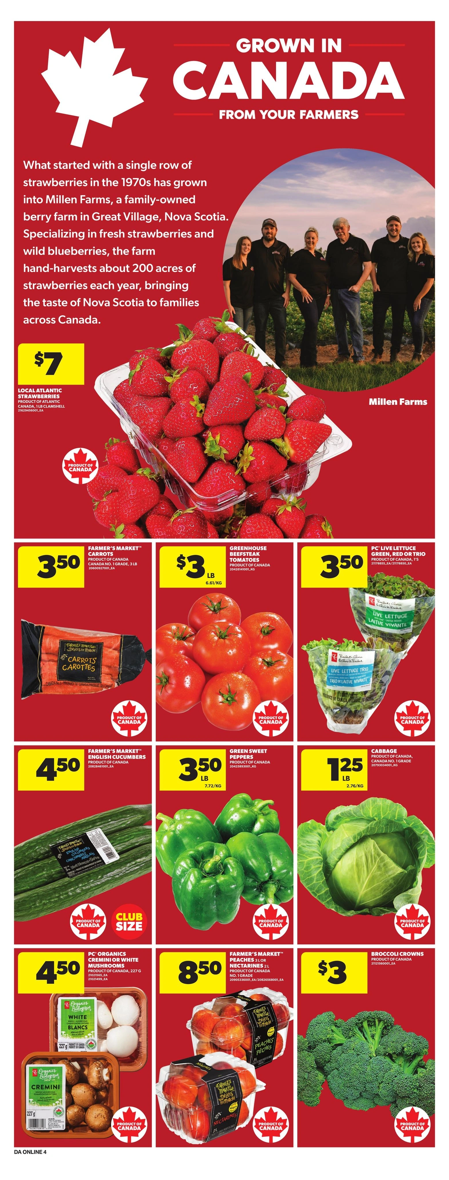 Dominion flyer page 10