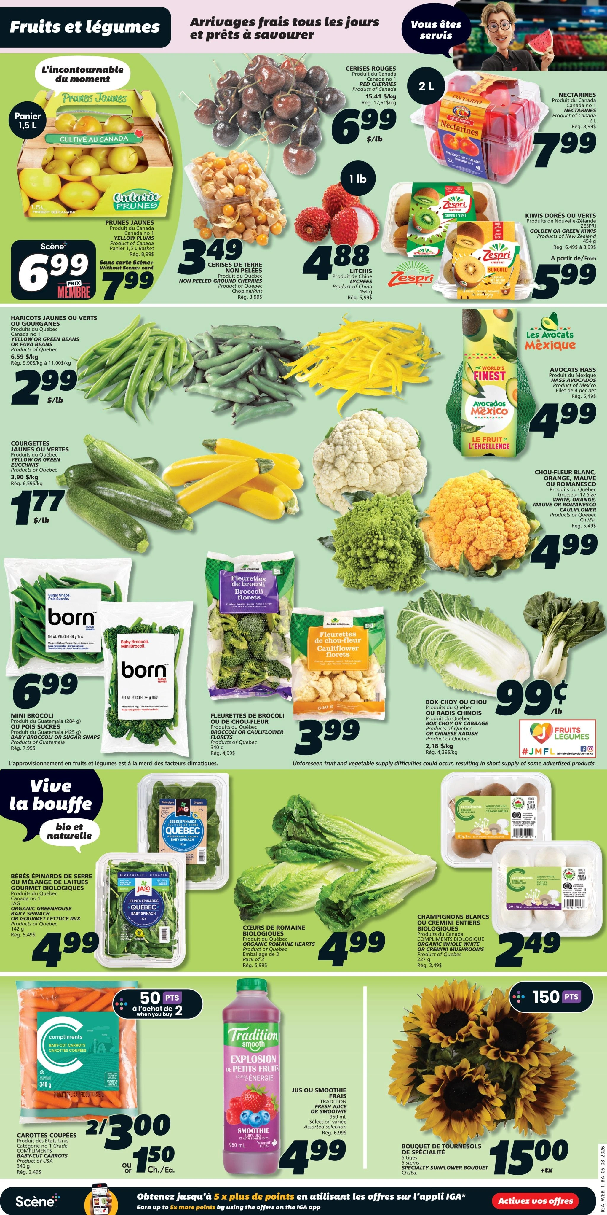 IGA flyer page 3