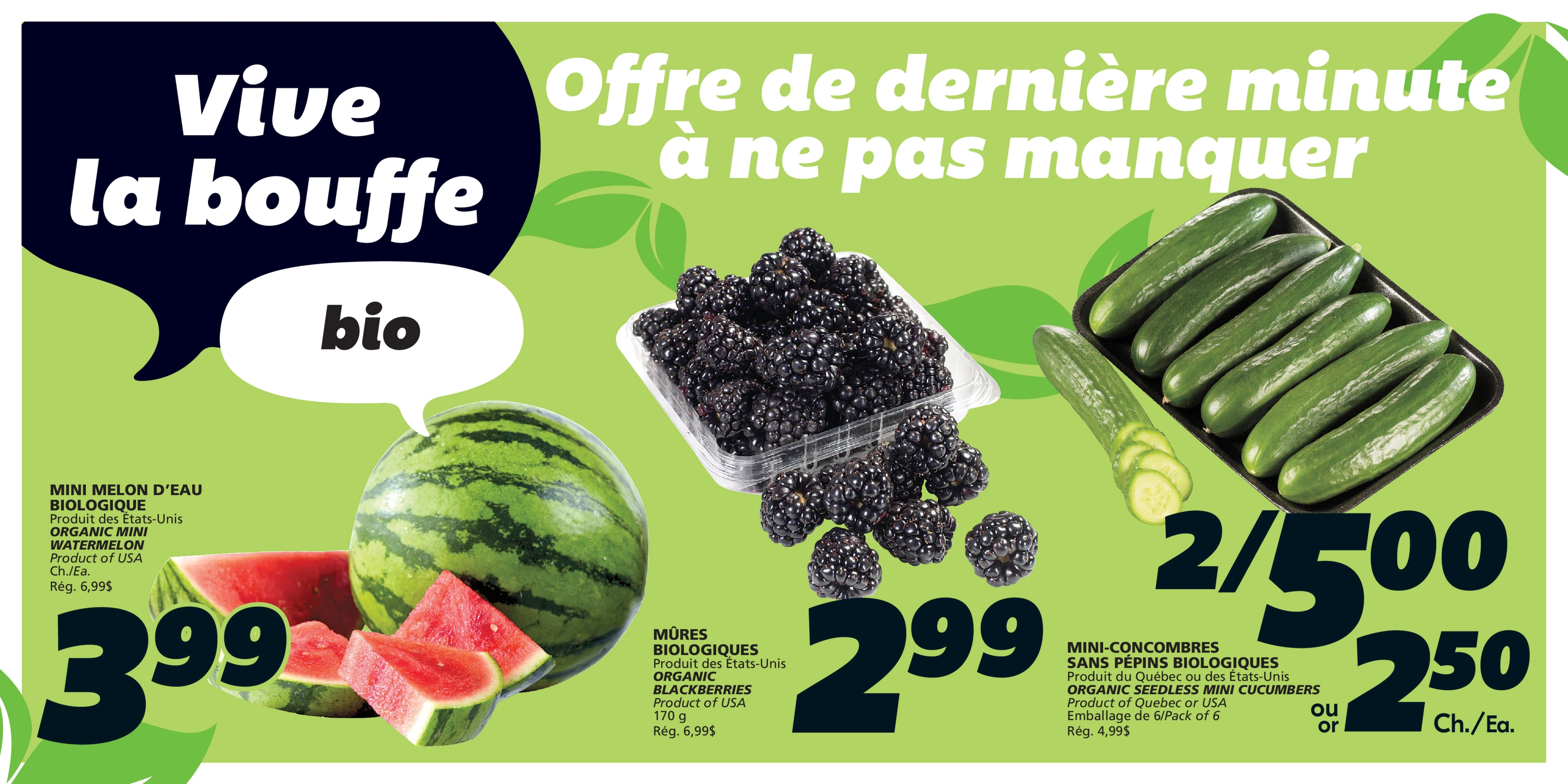IGA flyer page 4