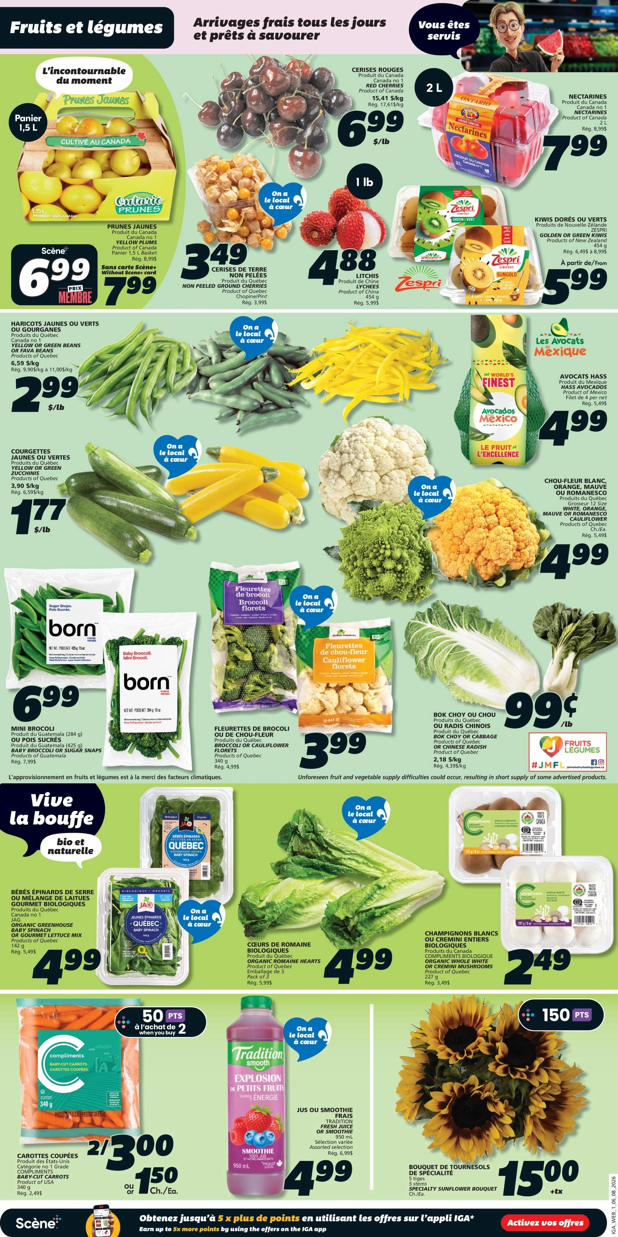 IGA flyer page 3