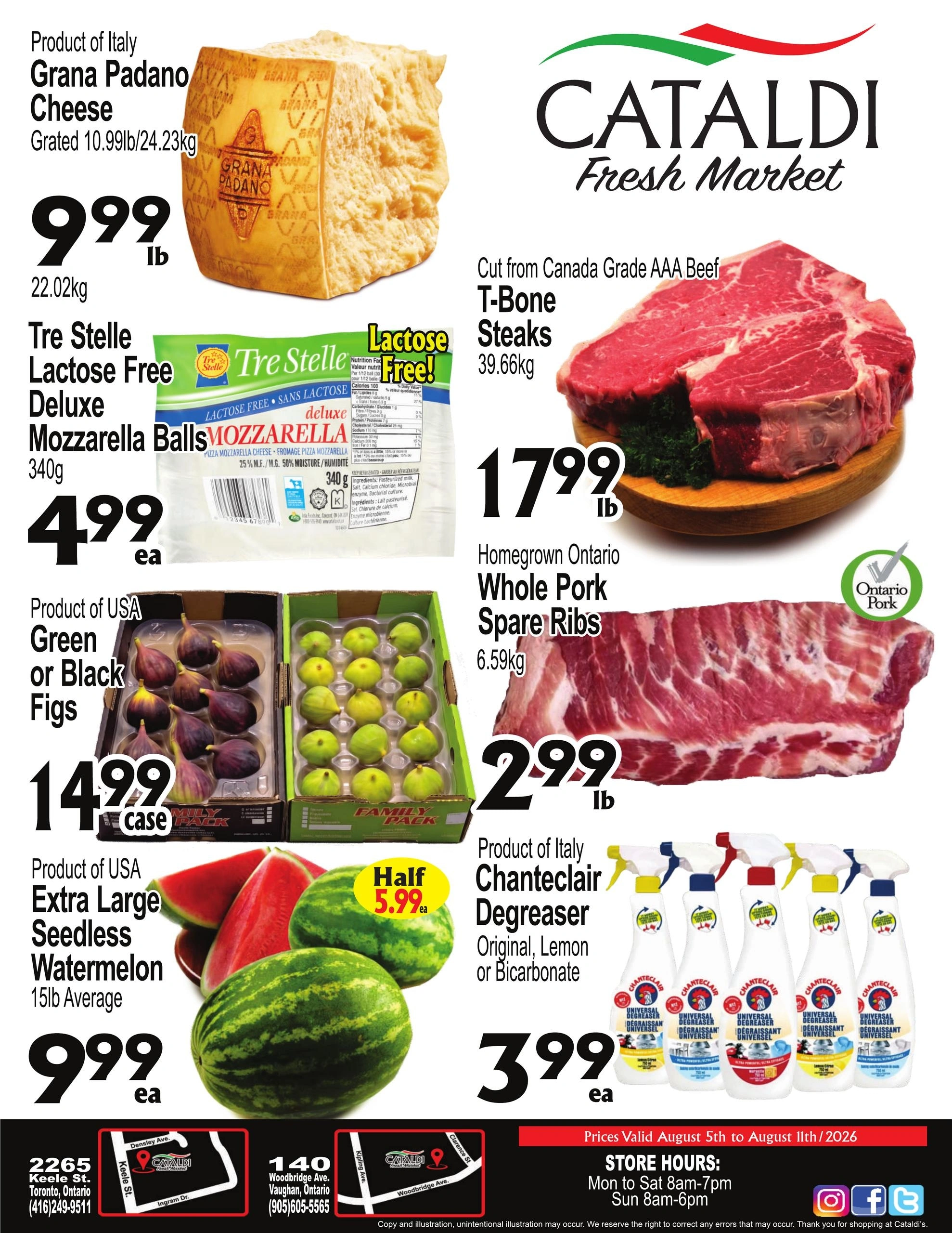 Cataldi flyer page 1