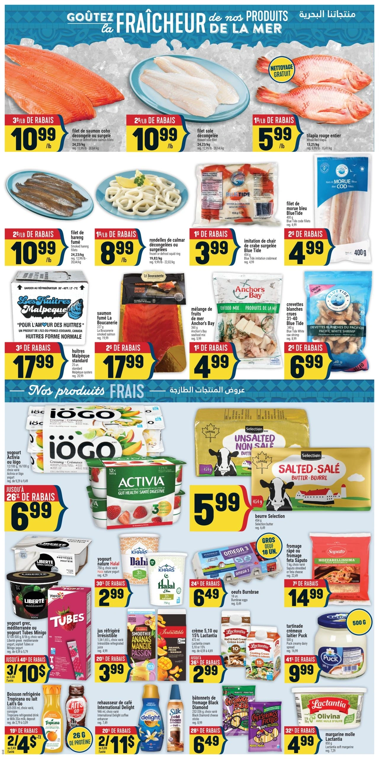 Adonis flyer page 5