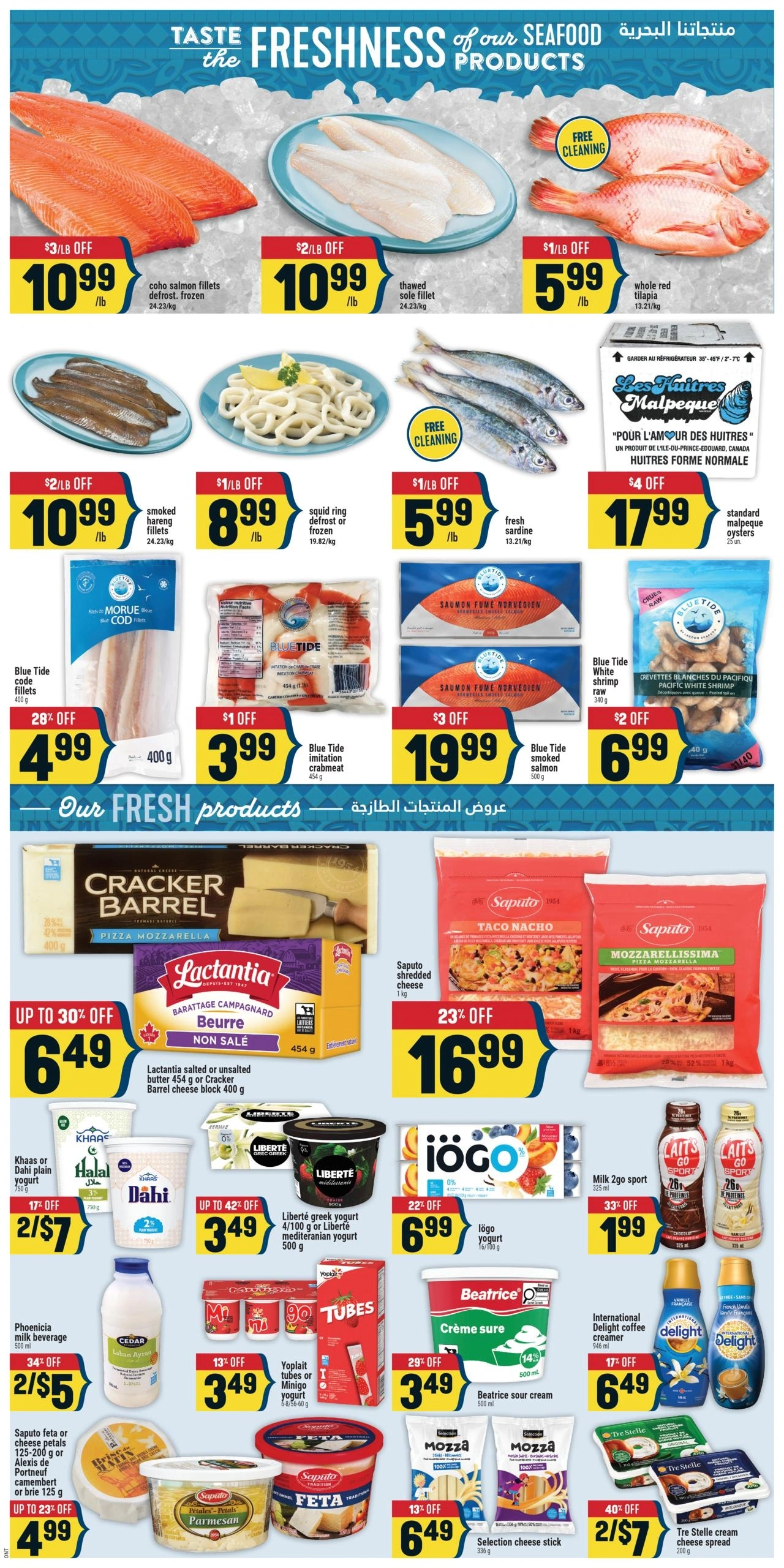 Adonis flyer page 4