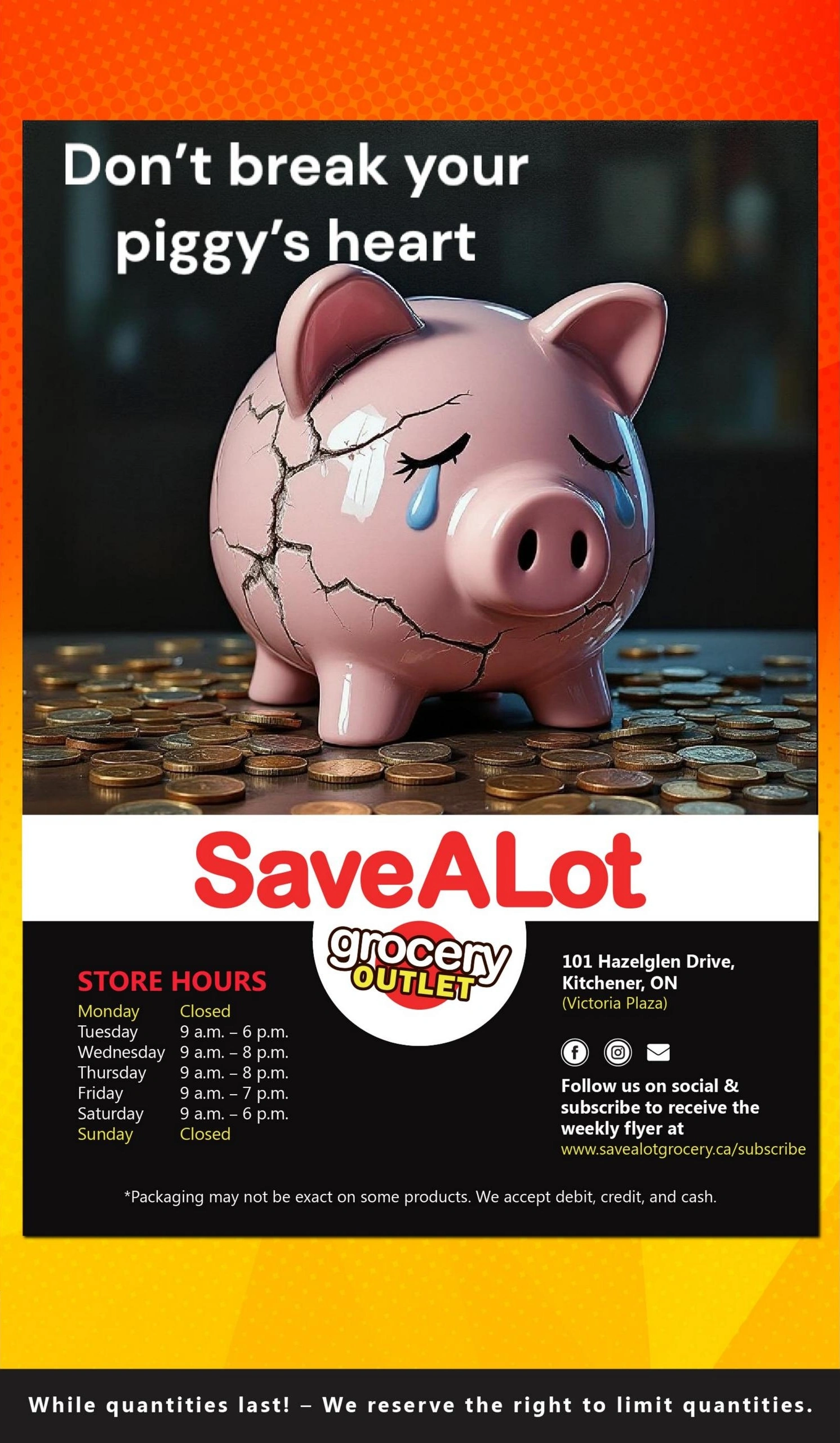 Save A Lot Grocery Outlet flyer page 10