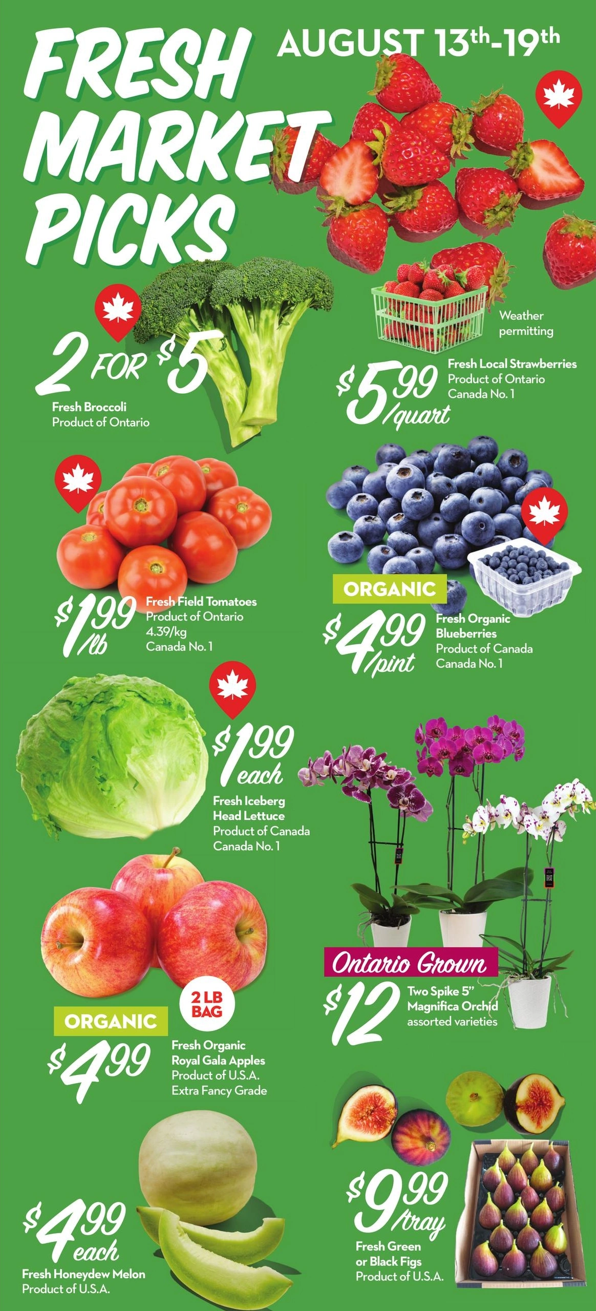 Longos flyer page 2