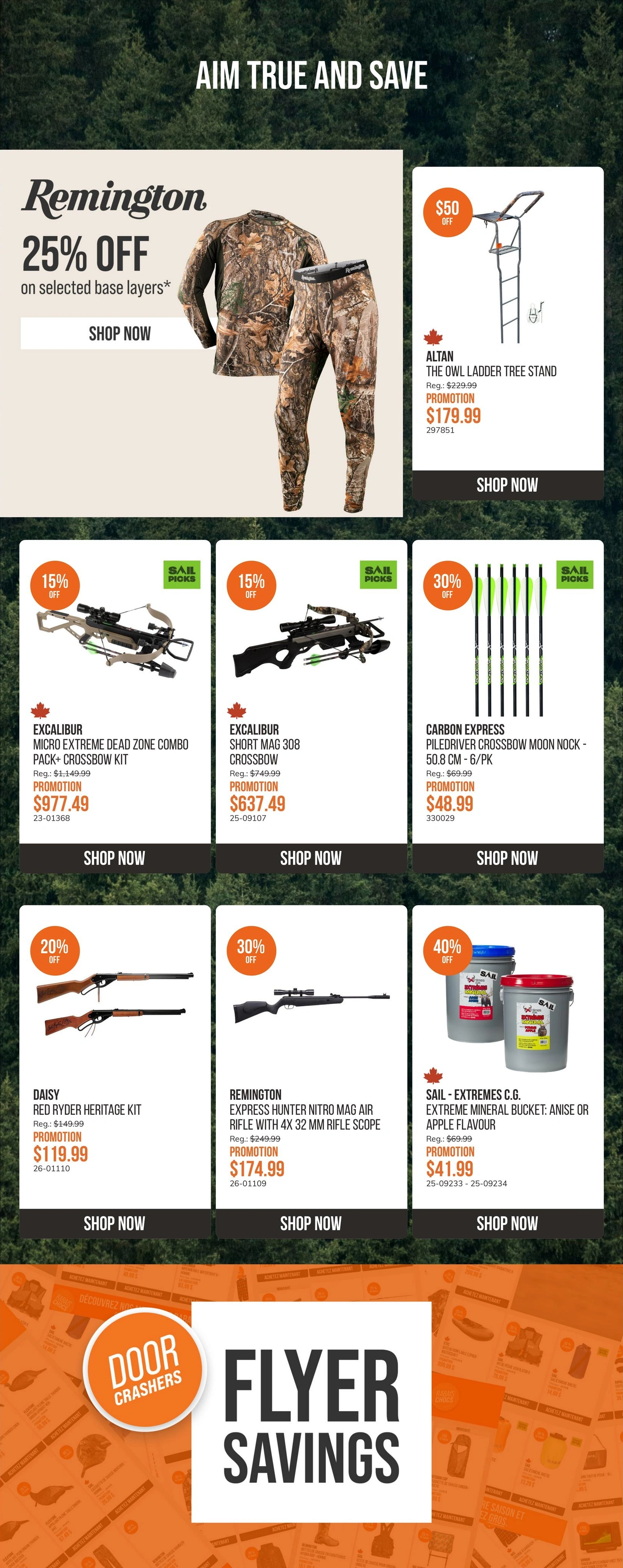 SAIL flyer page 6